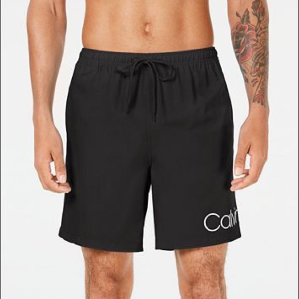 Men's Logo 7" Volley Swim Trunks